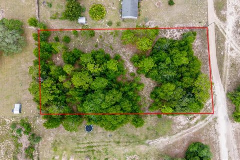 Terreno en venta en Bronson, Florida № 2237092 - foto 4