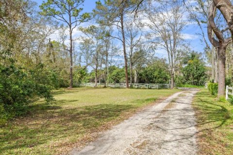 House in Odessa, Florida 3 bedrooms, 111.02 sq.m. № 1531526 - photo 13