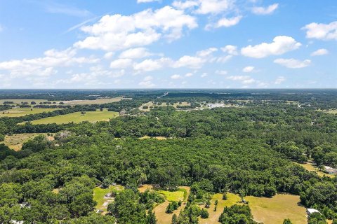 Terreno en venta en Summerfield, Florida № 213983 - foto 5