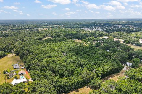 Land in Summerfield, Florida № 213983 - photo 1
