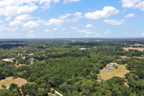 Terreno en venta en Summerfield, Florida № 213983 - foto 9