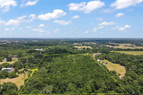Terreno en venta en Summerfield, Florida № 213983 - foto 7