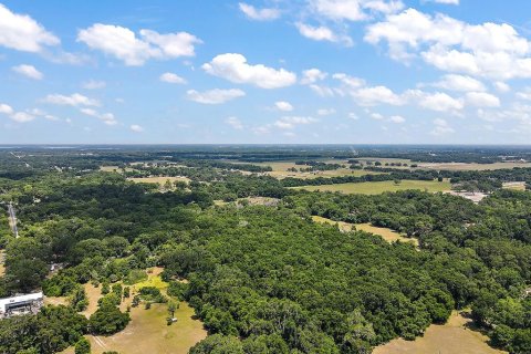 Terreno en venta en Summerfield, Florida № 213983 - foto 6