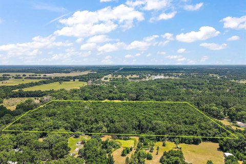 Terreno en venta en Summerfield, Florida № 213983 - foto 4