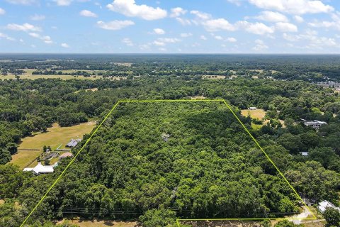 Terreno en venta en Summerfield, Florida № 213983 - foto 2