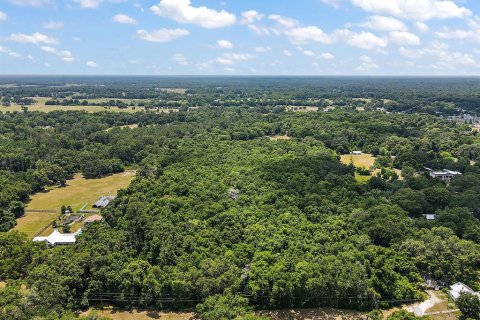Terreno en venta en Summerfield, Florida № 213983 - foto 3