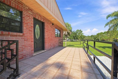 Villa ou maison à vendre à Wesley Chapel, Floride: 4 chambres, 167.6 m2 № 2324238 - photo 20