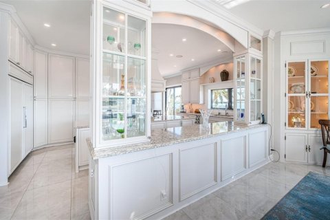 Villa ou maison à vendre à Saint Petersburg, Floride: 4 chambres, 537.16 m2 № 1526399 - photo 20