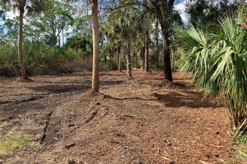 Terreno en venta en Port Charlotte, Florida № 1402025 - foto 5