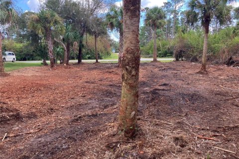 Terreno en venta en Port Charlotte, Florida № 1402025 - foto 6