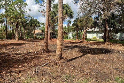 Terreno en venta en Port Charlotte, Florida № 1402025 - foto 4