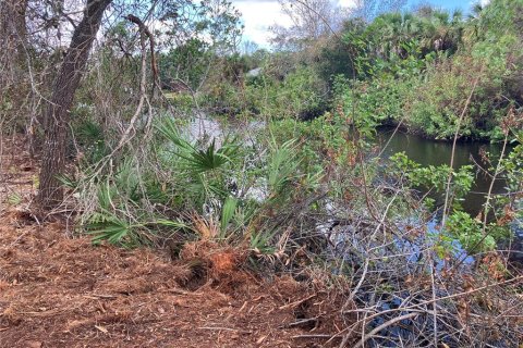 Terreno en venta en Port Charlotte, Florida № 1402025 - foto 8