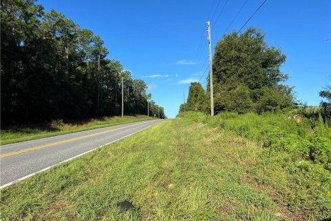 Land in Inverness, Florida № 2233739 - photo 8