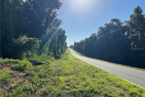 Land in Inverness, Florida № 2233739 - photo 6