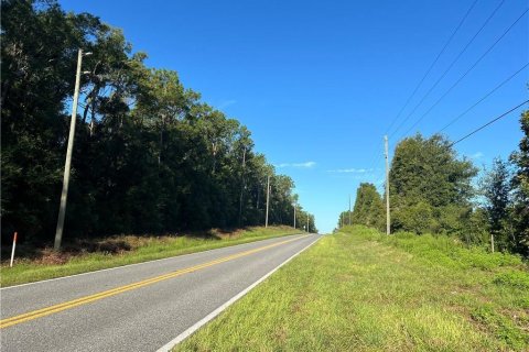 Land in Inverness, Florida № 2233739 - photo 4