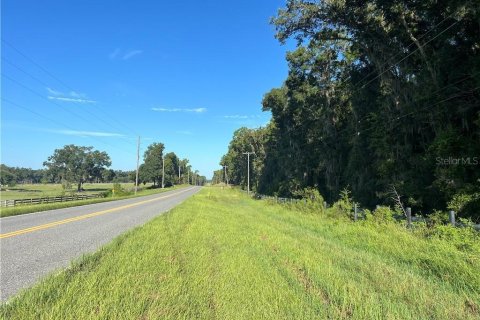 Land in Inverness, Florida № 2233739 - photo 2