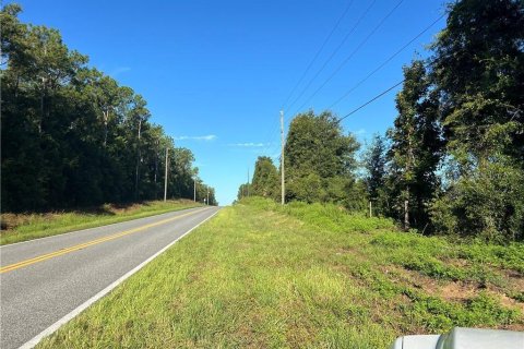 Land in Inverness, Florida № 2233739 - photo 3