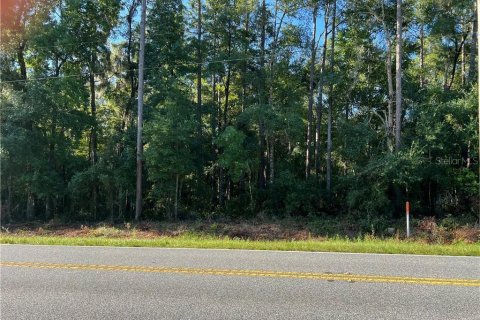 Land in Inverness, Florida № 2233739 - photo 7