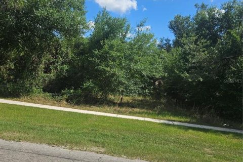 Land in Arcadia, Florida № 1797995 - photo 3