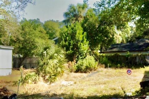 Terreno en Tampa, Florida № 2167591