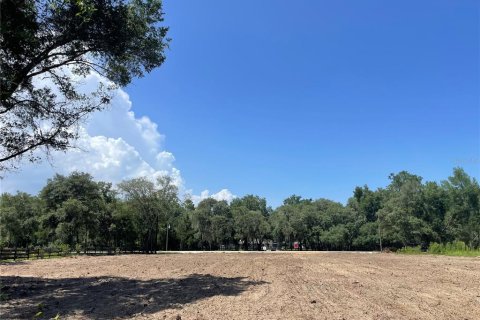 House in Dunnellon, Florida 4 bedrooms, 243.5 sq.m. № 2199203 - photo 3