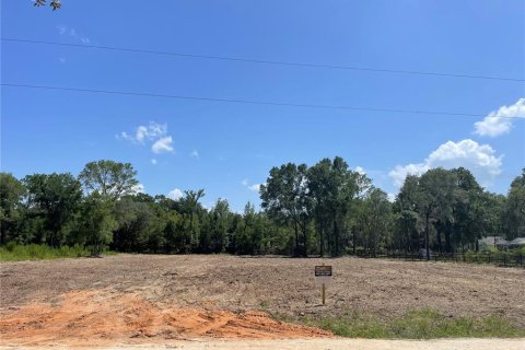 House in Dunnellon, Florida 4 bedrooms, 243.5 sq.m. № 2199203 - photo 5