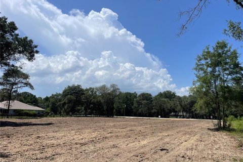 House in Dunnellon, Florida 4 bedrooms, 243.5 sq.m. № 2199203 - photo 6