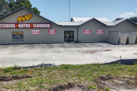 Commercial property in Wesley Chapel, Florida 507.71 sq.m. № 833259 - photo 2