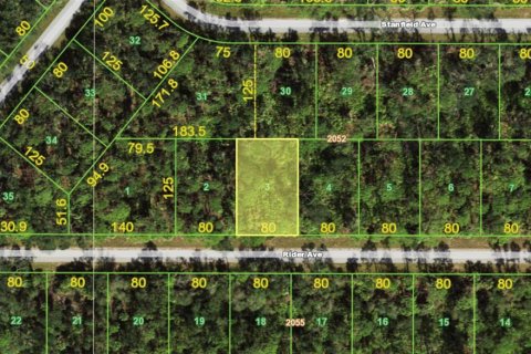 Land in Port Charlotte, Florida № 2161626 - photo 2