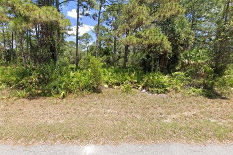 Land in Port Charlotte, Florida № 2161626