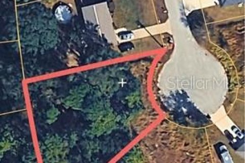 Land in Ocala, Florida № 2393705
