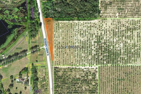 Land in Haines City, Florida № 1447152 - photo 1