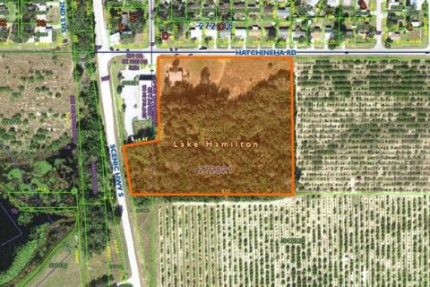 Land in Haines City, Florida № 1447152 - photo 2