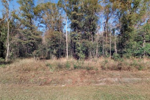 Land in Hastings, Florida № 2211886