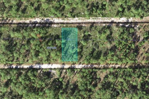 Terrain à vendre à Indian lake estates, Floride № 2224172 - photo 2