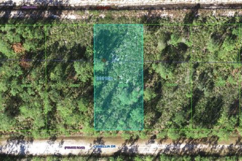 Land in Indian lake estates, Florida № 2224172