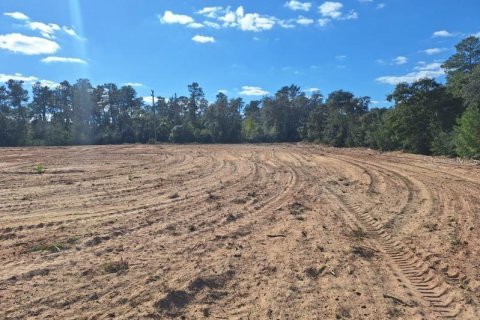 Propiedad comercial en alquiler en Ocala, Florida, 1114.83 m2 № 2105762 - foto 9