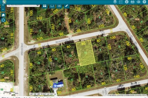 Land in Port Charlotte, Florida № 2229544