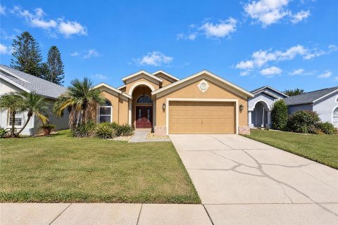 Villa ou maison à Land O' Lakes, Floride 3 chambres, 174.01 m2 № 2434474