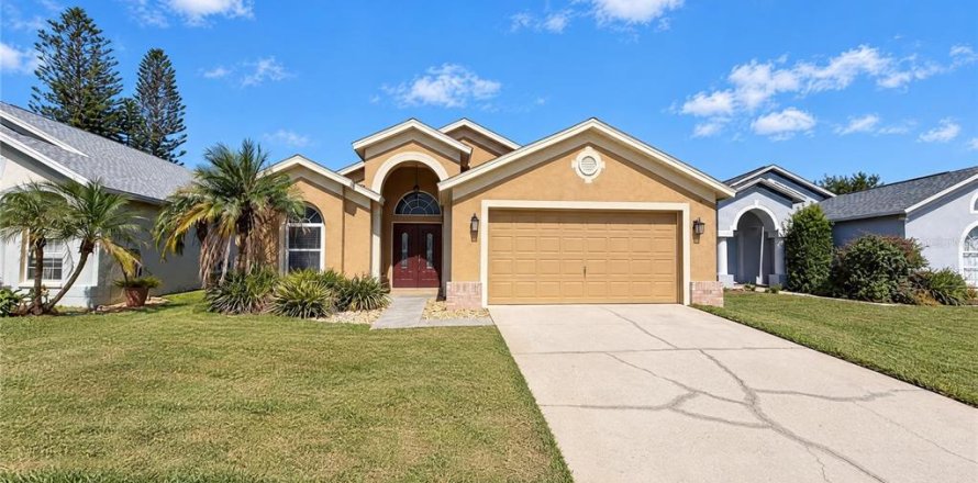 Villa ou maison à Land O' Lakes, Floride 3 chambres, 174.01 m2 № 2434474