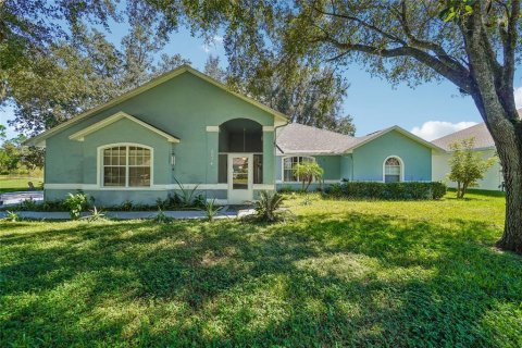 Villa ou maison à Dade City, Floride 3 chambres, 201.6 m2 № 2415125