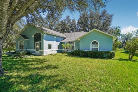 Villa ou maison à vendre à Dade City, Floride: 3 chambres, 201.6 m2 № 2415125 - photo 2
