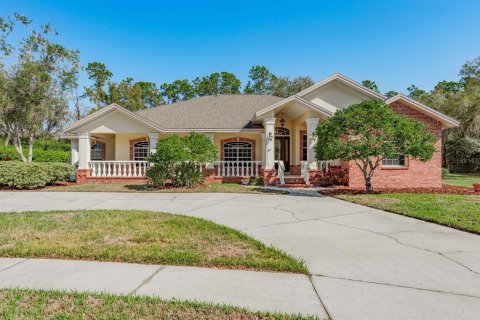 Casa en New Port Richey, Florida 5 dormitorios, 322.09 m2 № 2136641