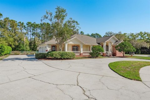House in New Port Richey, Florida 5 bedrooms, 322.09 sq.m. № 2136641 - photo 4