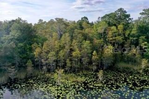 Adosado en alquiler en Clermont, Florida, 3 dormitorios, 172.05 m2 № 1825354 - foto 14