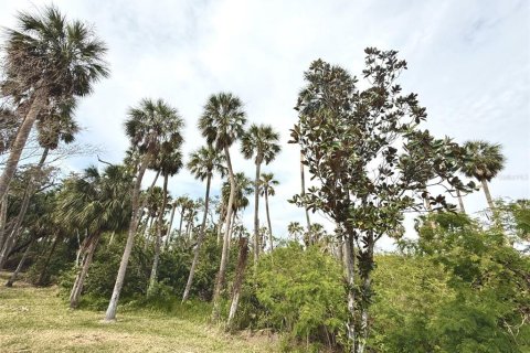 Adosado en alquiler en Tampa, Florida, 3 dormitorios, 146.04 m2 № 1851681 - foto 17