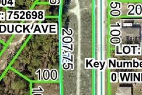 Land in Brooksville, Florida № 2159824 - photo 2