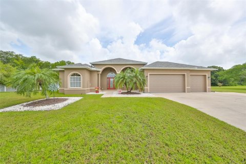 Villa ou maison à Parrish, Floride 4 chambres, 323.76 m2 № 2148159
