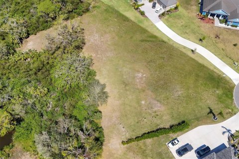 Terrain à vendre à Bradenton, Floride № 1579218 - photo 4