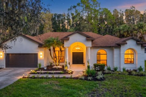 Villa ou maison à Tampa, Floride 5 chambres, 260.5 m2 № 2399316